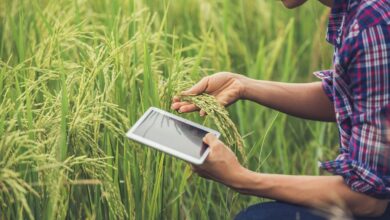 IoT in Agriculture Industry