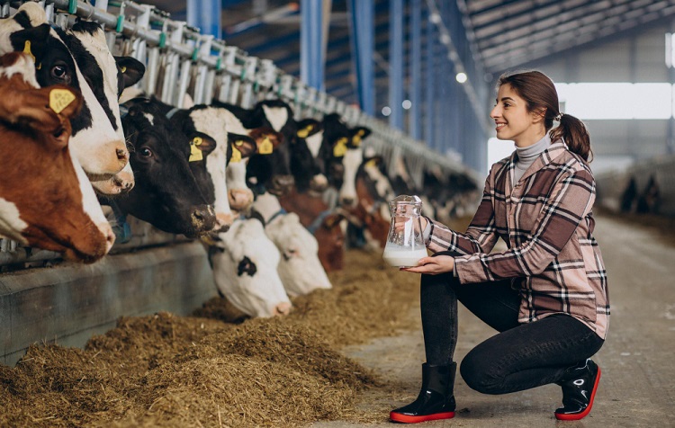 Data Analytics in Dairy Farm Milk Production